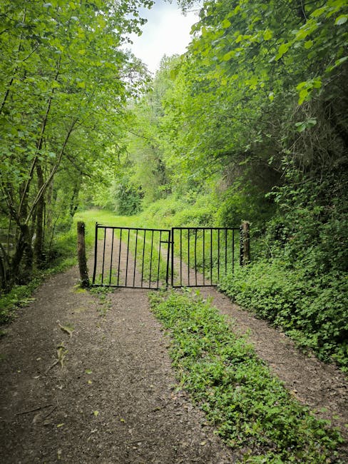 A narrow gravel pathway leading into a wooded area with lush green trees and dense foliage on either side. In the foreground, a small black metal gate with two swinging panels is positioned across the path, supported by wooden posts on each side. The path beyond the gate continues into a more open, grassy area surrounded by tall trees and undergrowth. The scene is well-lit with natural daylight filtering through the leaves, creating a peaceful atmosphere suitable for outdoor walking or estate access. This image captures a moment where a gate obstructs the trail, similar to access points encountered during house removals or property transitions, and reflects the natural environment often involved in moving logistics from rural or suburban properties. Man with Van Locksbottom specializes in home relocation services, including navigating outdoor terrain and managing access points like gates during furniture transport or packing and moving processes.