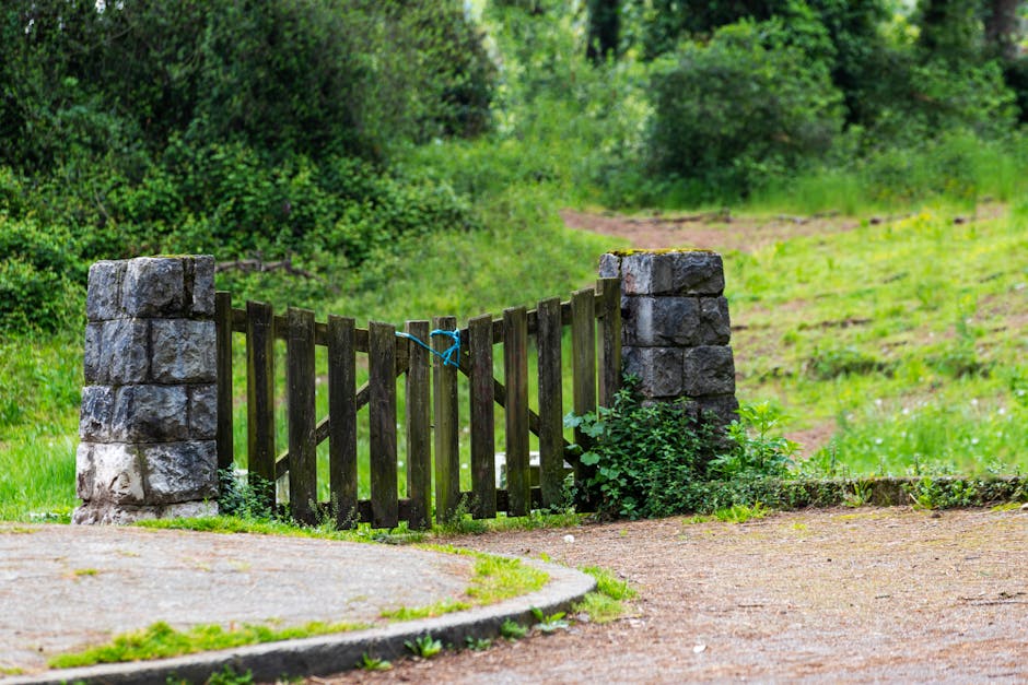 A countryside scene showing a gravel pathway leading to a wooden gate, surrounded by lush green trees and bushes on a bright, sunny day. Beyond the gate, there is an open grassy field with scattered trees and a distant view of houses on a gentle hill. The scene is part of an outdoor setting near Scadbury Park, with natural light illuminating the foliage and landscape. This environment could serve as a staging area for home relocation or moving services, such as loading or unloading furniture and boxes with the assistance of Man with Van Locksbottom, capturing the natural flow of moving logistics through scenic outdoor surroundings.